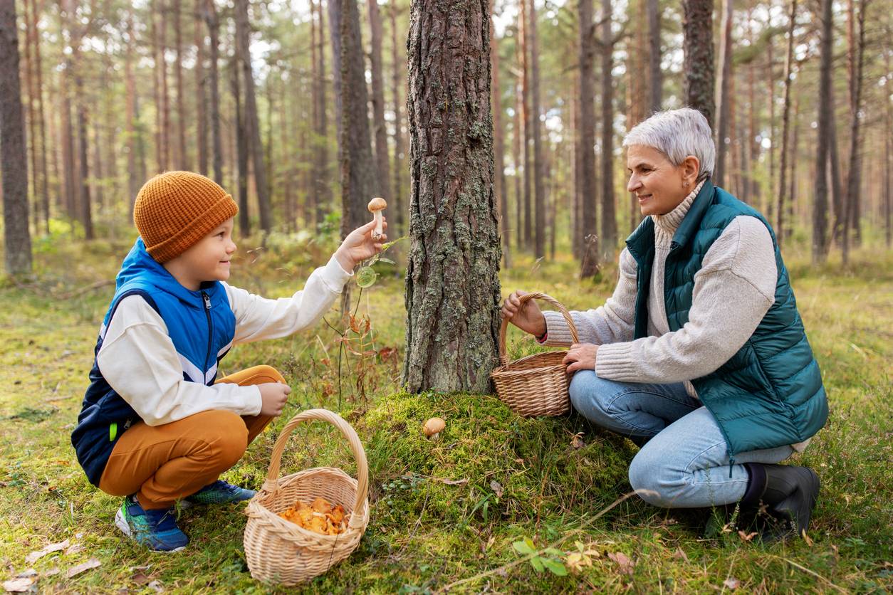 cueillette de champignons réussie